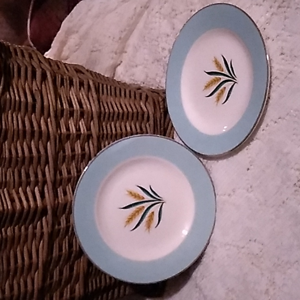 International D.S. Co. China Viking Aqua Wheat Bread Plates